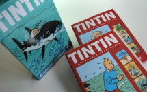 Tintin, 6 aventures intégrales en DVD