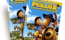 Pollux revient... En DVD et Collector !