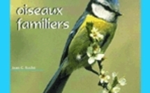C'est le printemps ! nous sommes à l'écoute de la nature